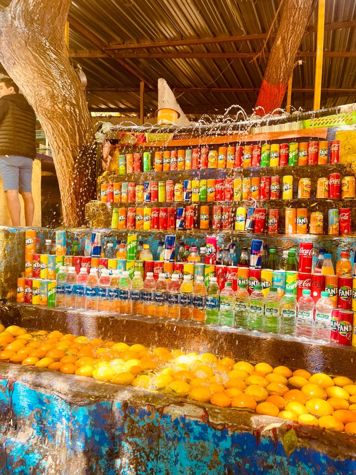 Cultural Day Trip : Discover the Ourika Valley 4