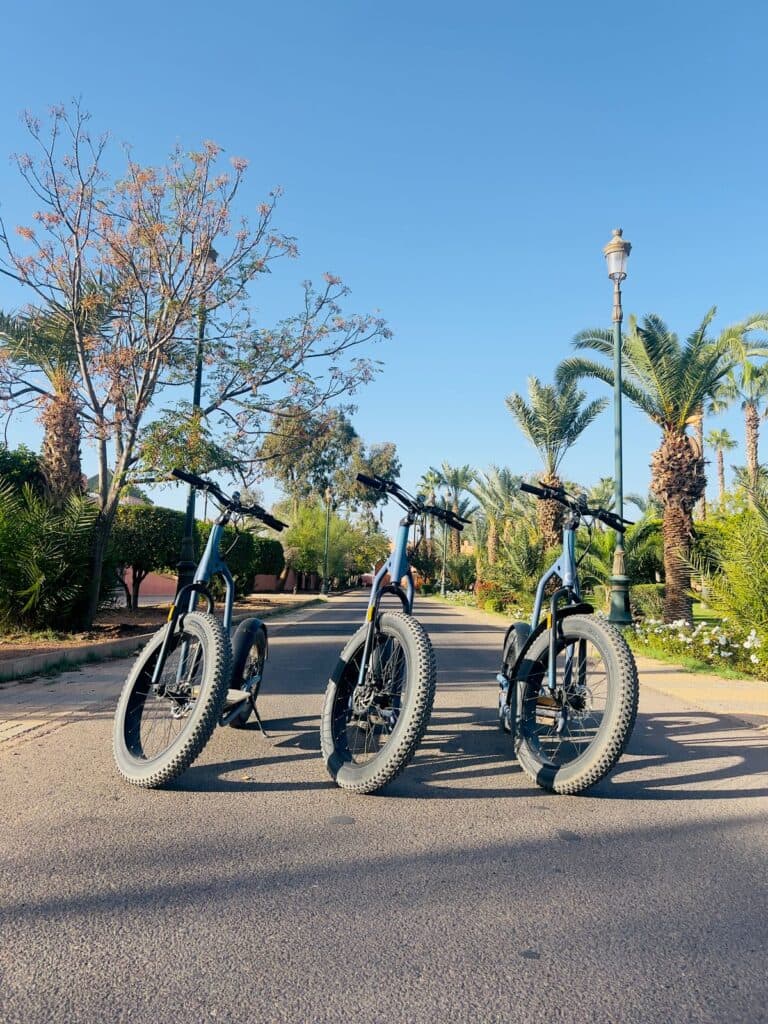 Marrakech Discovery on Two Wheels
