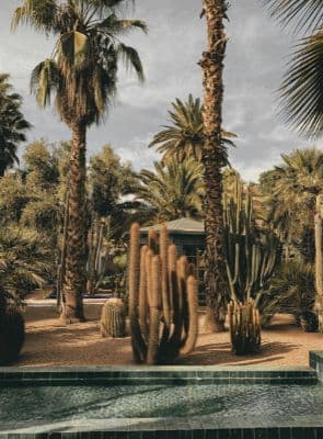 Journée culturelle à Marrakech — photo 3