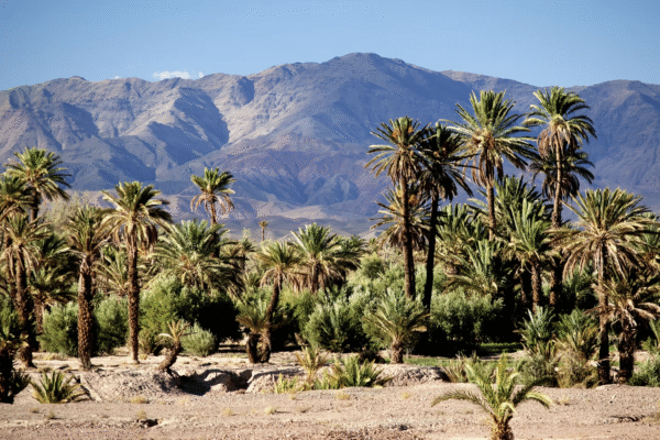 Circuit Sud Maroc & Désert en 4×4