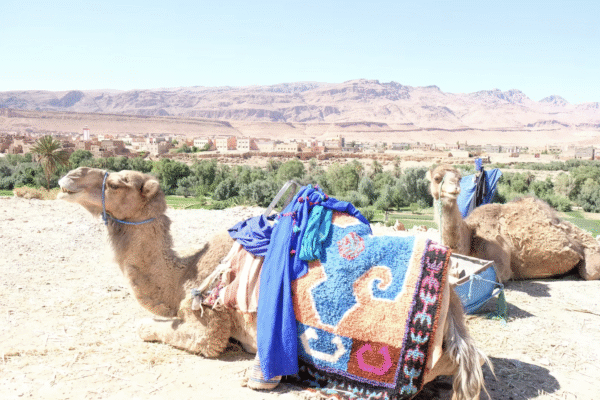 Circuit Sud Maroc & Désert en 4×4