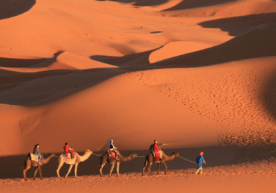 Découvrir le monde avec Sylla Voyages : Le voyage sur mesure à votre portée